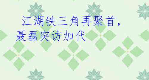 江湖铁三角再聚首,聂磊突访加代