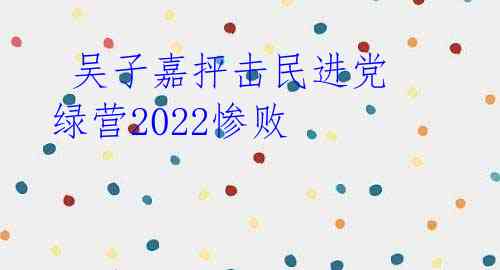 吴子嘉抨击民进党 绿营2022惨败