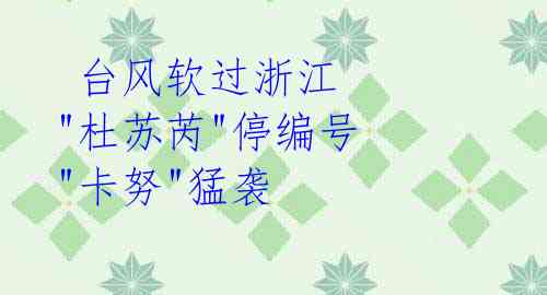 台风软过浙江 "杜苏芮"停编号 "卡努"猛袭