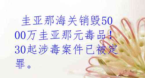 圭亚那海关销毁5000万圭亚那元毒品!30起涉毒案件已被定罪。