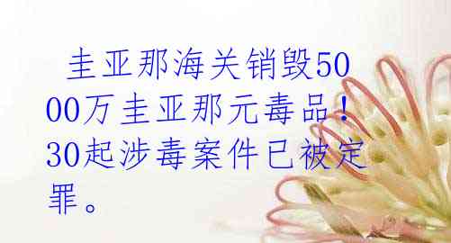  圭亚那海关销毁5000万圭亚那元毒品！30起涉毒案件已被定罪。 