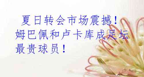 夏日转会市场震撼!姆巴佩和卢卡库成足坛最贵球员!