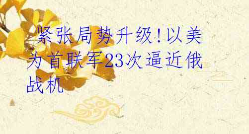 紧张局势升级!以美为首联军23次逼近俄战机