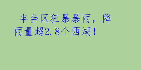  丰台区狂暴暴雨，降雨量超2.8个西湖！ 