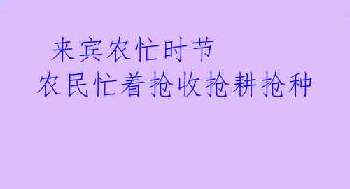  来宾农忙时节 农民忙着抢收抢耕抢种 