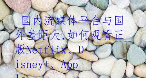 国内流媒体平台与国外差距大,如何观看正版Netflix、Disney+、Apple TV+、HBO?
