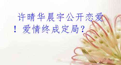许晴华晨宇公开恋爱!爱情终成定局?