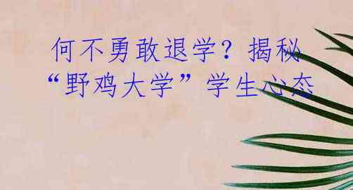  何不勇敢退学？揭秘“野鸡大学”学生心态 