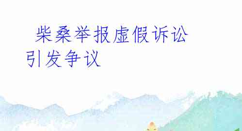  柴桑举报虚假诉讼引发争议
