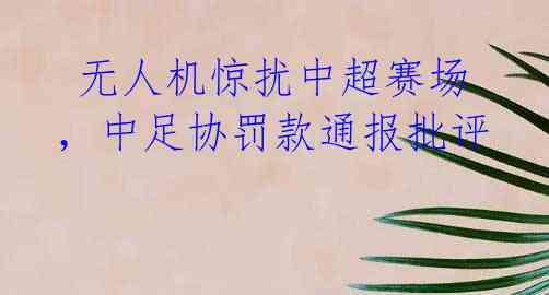 无人机惊扰中超赛场,中足协罚款通报批评