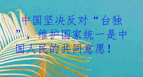 中国坚决反对“台独”,维护国家统一是中国人民的共同意愿!
