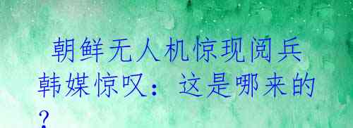 朝鲜无人机惊现阅兵 韩媒惊叹:这是哪来的?