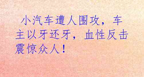 小汽车遭人围攻,车主以牙还牙,血性反击震惊众人!
