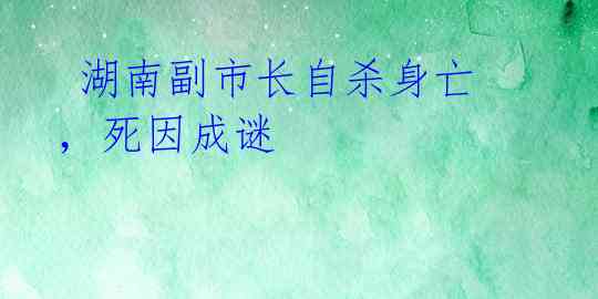 湖南副市长自杀身亡,死因成谜