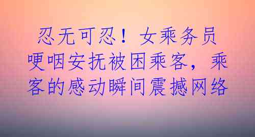 忍无可忍!女乘务员哽咽安抚被困乘客,乘客的感动瞬间震撼网络