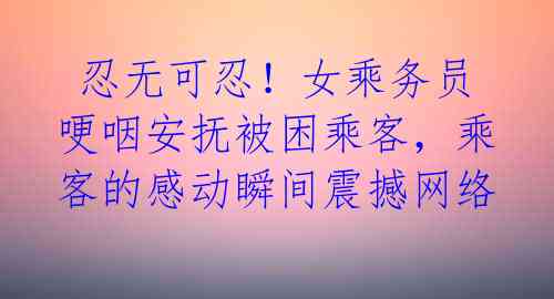  忍无可忍！女乘务员哽咽安抚被困乘客，乘客的感动瞬间震撼网络 