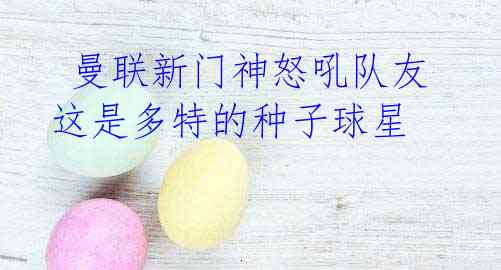 曼联新门神怒吼队友 这是多特的种子球星