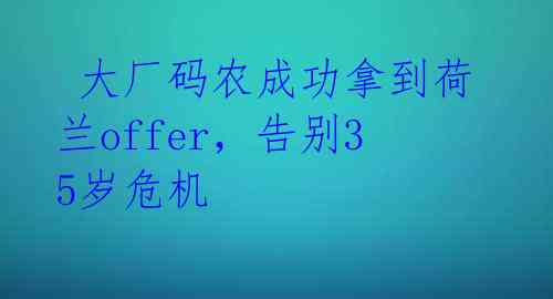 大厂码农成功拿到荷兰offer,告别35岁危机