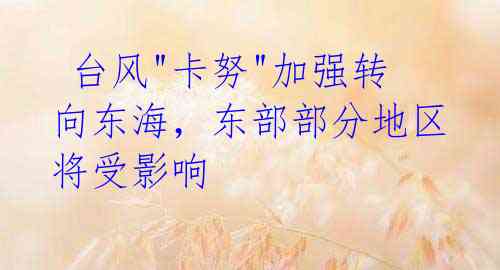 台风"卡努"加强转向东海,东部部分地区将受影响