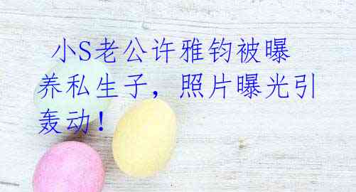 小S老公许雅钧被曝养私生子,照片曝光引轰动!
