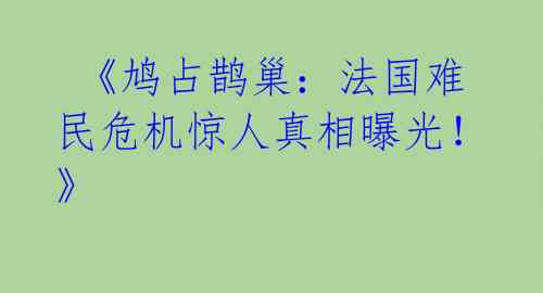 《鸠占鹊巢:法国难民危机惊人真相曝光!》