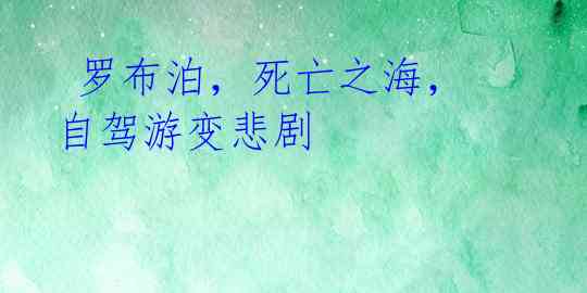  罗布泊，死亡之海，自驾游变悲剧 