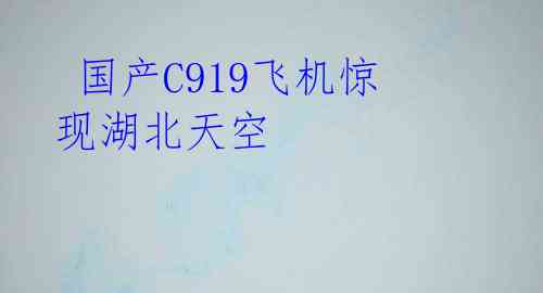 国产C919飞机惊现湖北天空