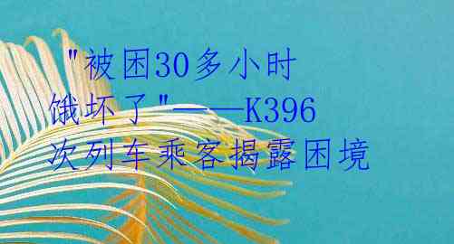 "被困30多小时 饿坏了"——K396次列车乘客揭露困境
