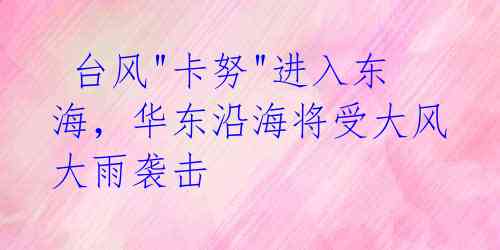 台风"卡努"进入东海,华东沿海将受大风大雨袭击