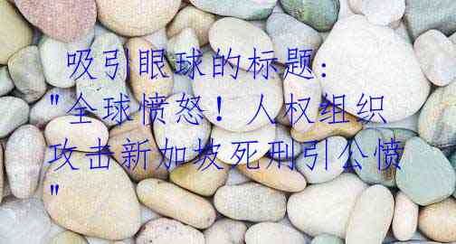 吸引眼球的标题: "全球愤怒!人权组织攻击新加坡死刑引公愤"