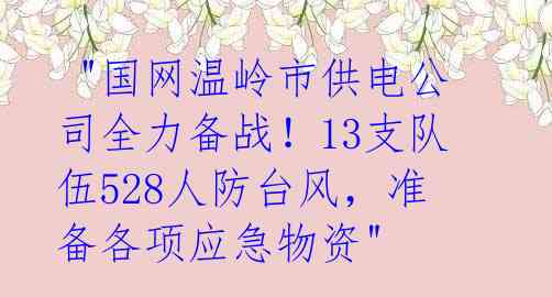 "国网温岭市供电公司全力备战!13支队伍528人防台风,准备各项应急物资"
