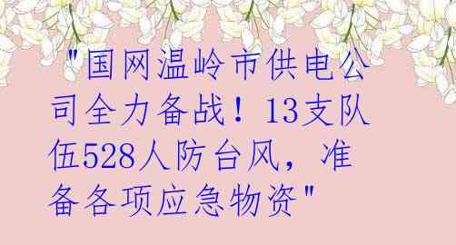  "国网温岭市供电公司全力备战！13支队伍528人防台风，准备各项应急物资" 