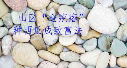 山区“金疙瘩” 种西瓜成致富法