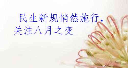 民生新规悄然施行,关注八月之变