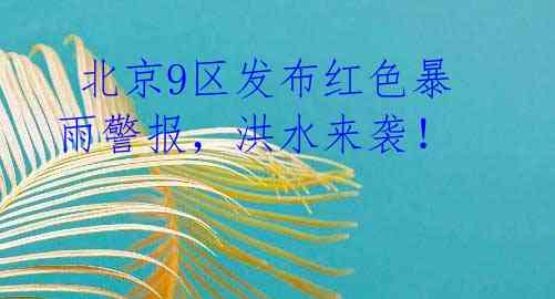 北京9区发布红色暴雨警报,洪水来袭!