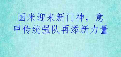 国米迎来新门神,意甲传统强队再添新力量