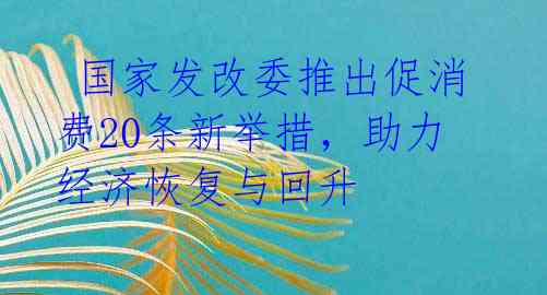  国家发改委推出促消费20条新举措，助力经济恢复与回升 