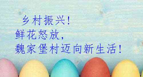 乡村振兴! 鲜花怒放, 魏家堡村迈向新生活!
