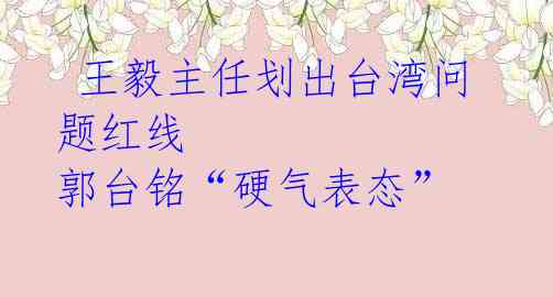 王毅主任划出台湾问题红线 郭台铭“硬气表态”
