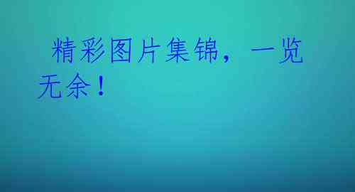  精彩图片集锦，一览无余！