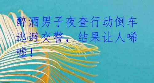 醉酒男子夜查行动倒车逃避交警,结果让人唏嘘!