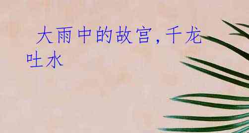 大雨中的故宫,千龙吐水