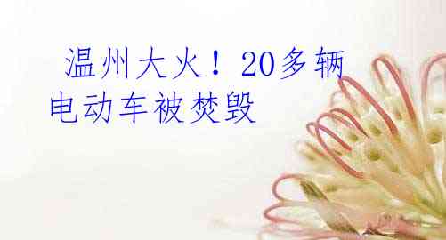 温州大火!20多辆电动车被焚毁