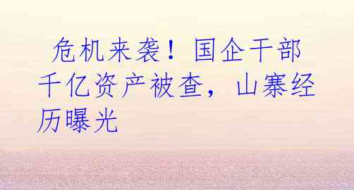 危机来袭!国企干部千亿资产被查,山寨经历曝光