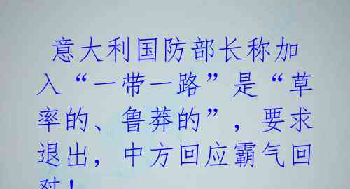  意大利国防部长称加入“一带一路”是“草率的、鲁莽的”，要求退出，中方回应霸气回怼！ 