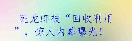  死龙虾被“回收利用”，惊人内幕曝光！ 