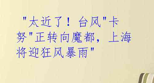 "太近了!台风"卡努"正转向魔都,上海将迎狂风暴雨"