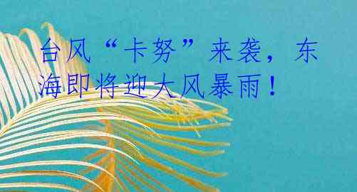 台风“卡努”来袭，东海即将迎大风暴雨！ 