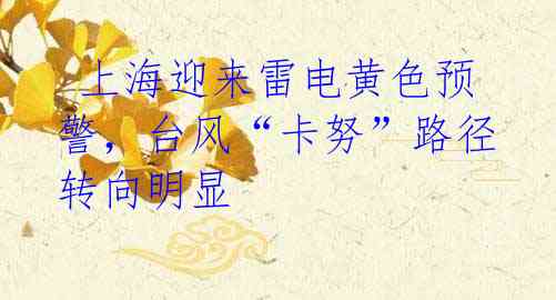 上海迎来雷电黄色预警,台风“卡努”路径转向明显