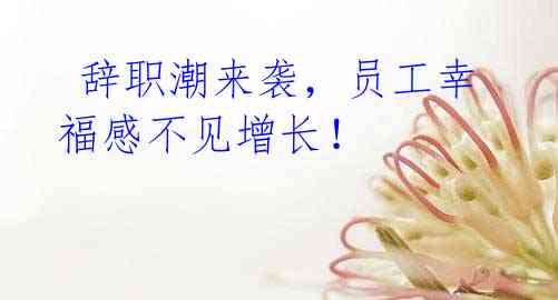  辞职潮来袭，员工幸福感不见增长！
